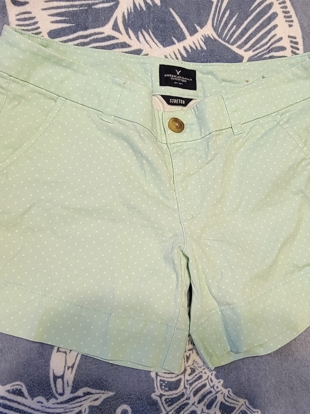 American Eagle Outfitters Light Mint Polka Dot Stretch Women’s Shorts